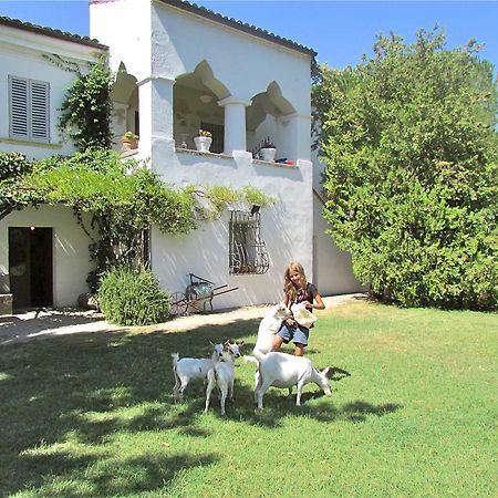 Agriturismo "Borgo Madonna Degli Angeli" - Charming Cottages In The Gardens ! Tocco da Casauria Exteriér fotografie