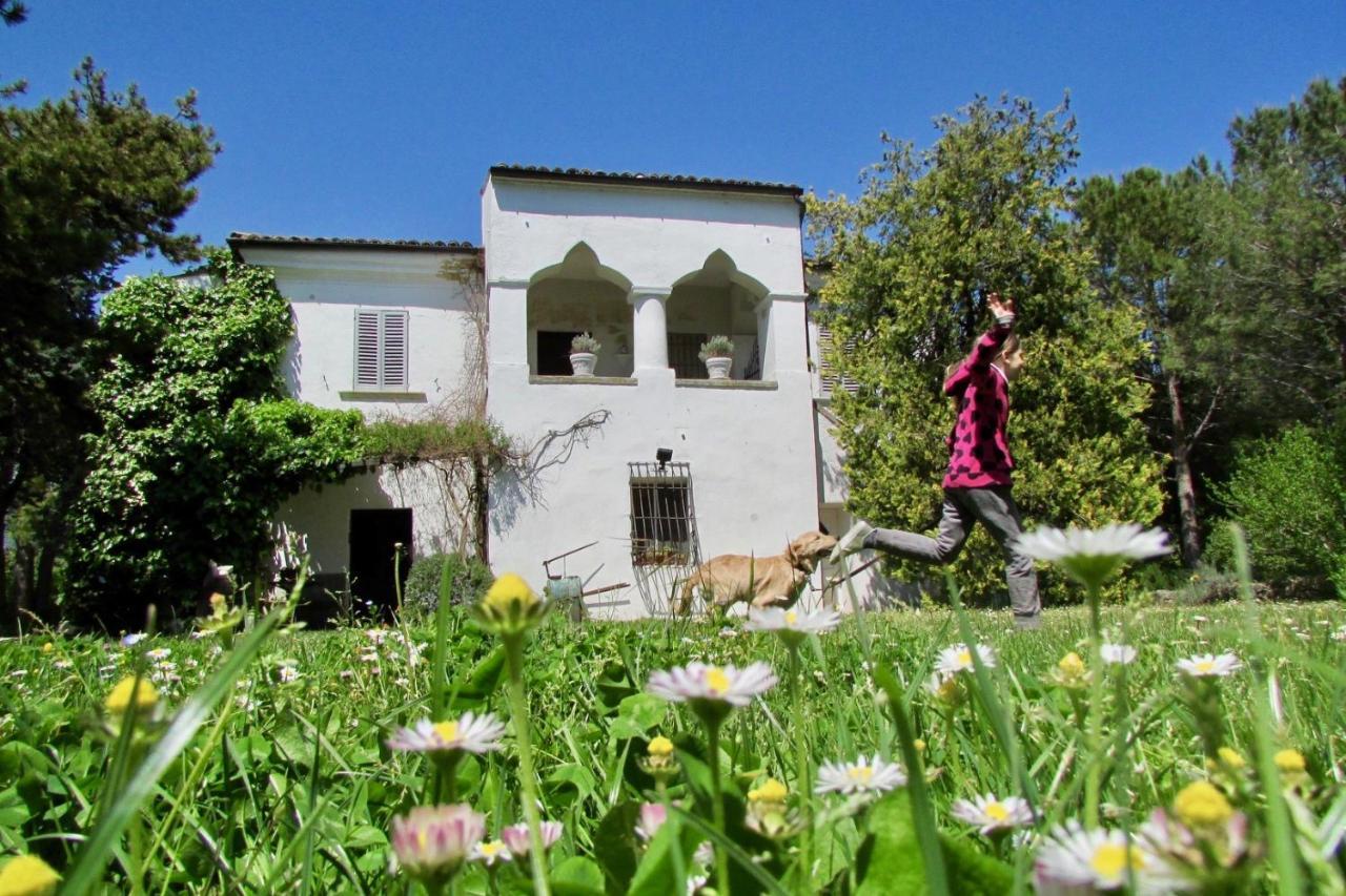 Agriturismo "Borgo Madonna Degli Angeli" - Charming Cottages In The Gardens ! Tocco da Casauria Exteriér fotografie