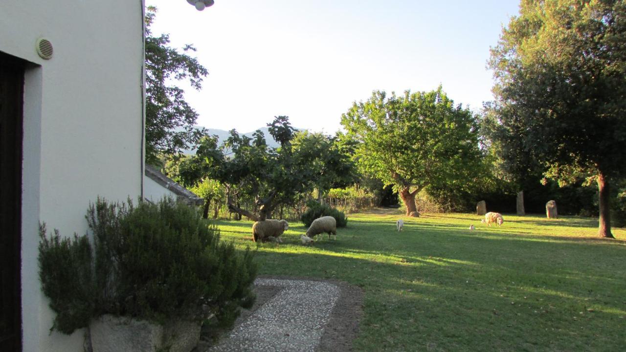 Agriturismo "Borgo Madonna Degli Angeli" - Charming Cottages In The Gardens ! Tocco da Casauria Exteriér fotografie