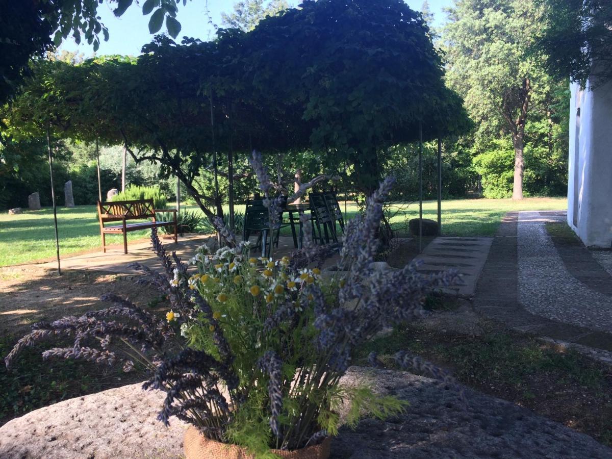 Agriturismo "Borgo Madonna Degli Angeli" - Charming Cottages In The Gardens ! Tocco da Casauria Exteriér fotografie