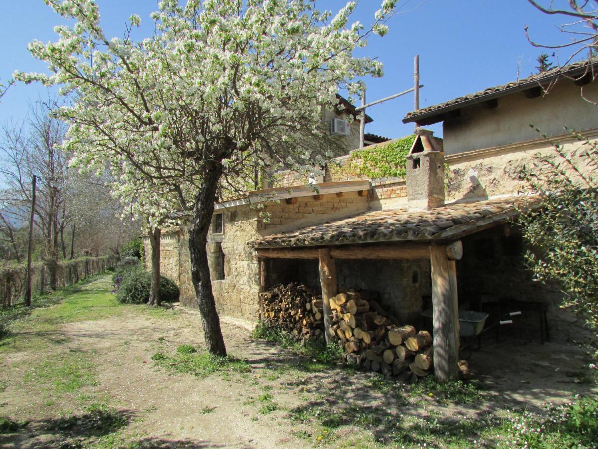 Agriturismo "Borgo Madonna Degli Angeli" - Charming Cottages In The Gardens ! Tocco da Casauria Exteriér fotografie