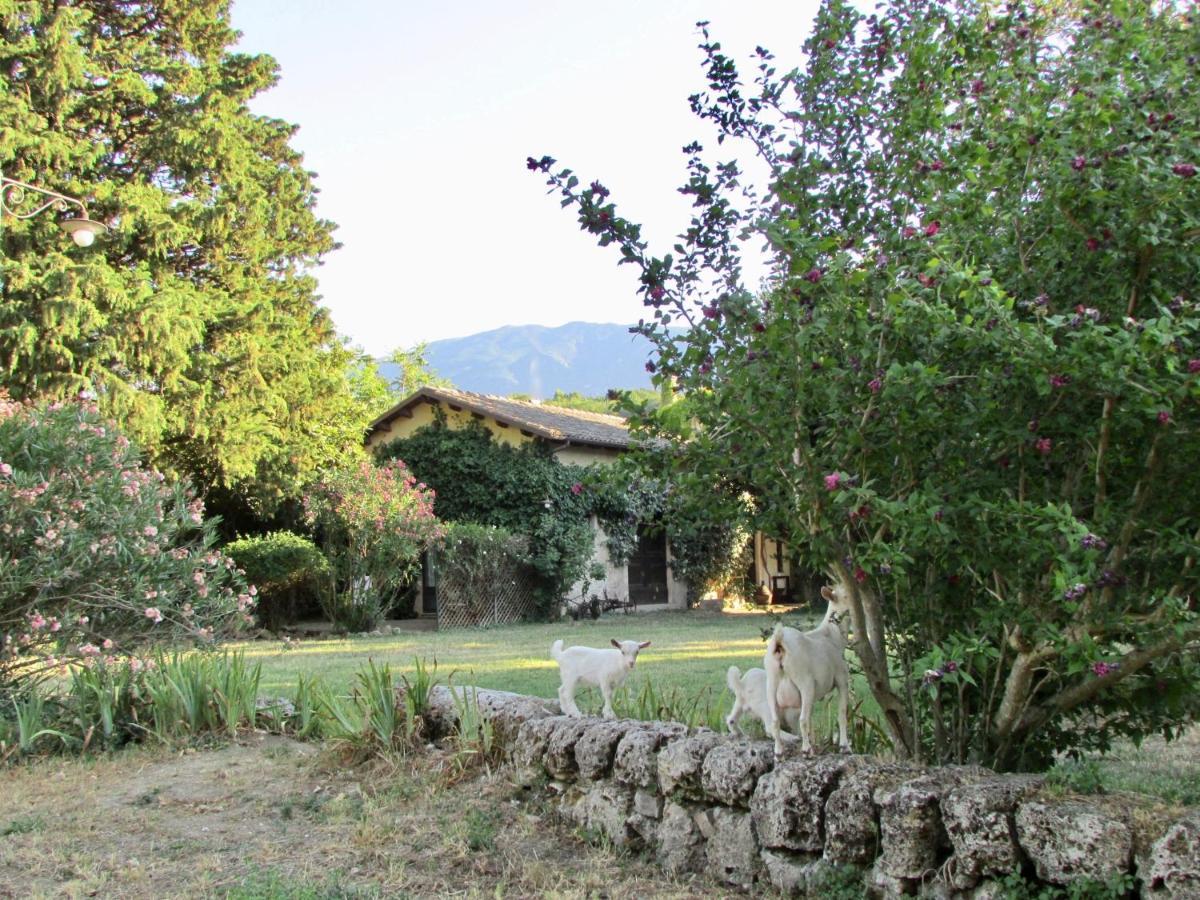Agriturismo "Borgo Madonna Degli Angeli" - Charming Cottages In The Gardens ! Tocco da Casauria Exteriér fotografie