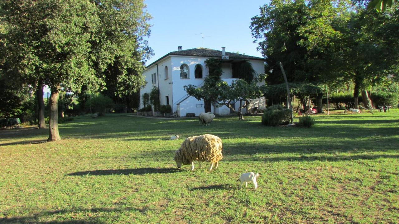 Agriturismo "Borgo Madonna Degli Angeli" - Charming Cottages In The Gardens ! Tocco da Casauria Exteriér fotografie