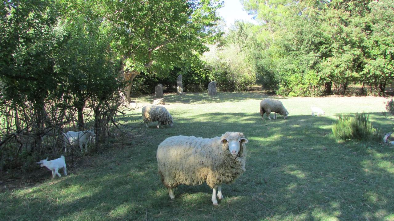 Agriturismo "Borgo Madonna Degli Angeli" - Charming Cottages In The Gardens ! Tocco da Casauria Exteriér fotografie