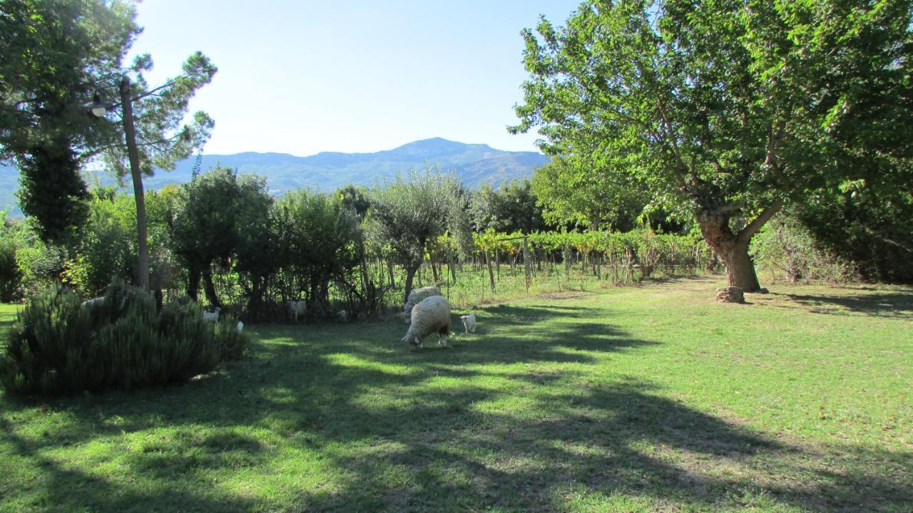 Agriturismo "Borgo Madonna Degli Angeli" - Charming Cottages In The Gardens ! Tocco da Casauria Exteriér fotografie