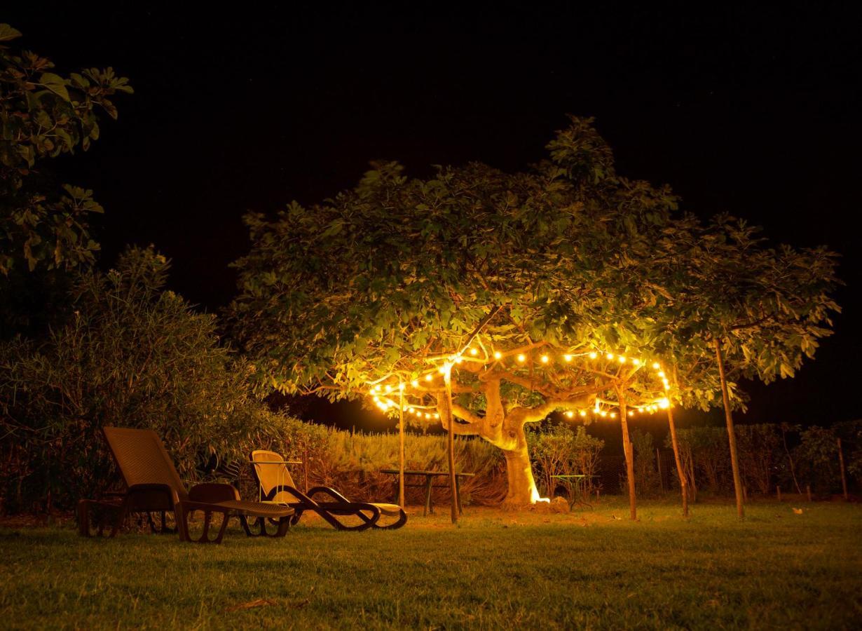 Agriturismo "Borgo Madonna Degli Angeli" - Charming Cottages In The Gardens ! Tocco da Casauria Exteriér fotografie