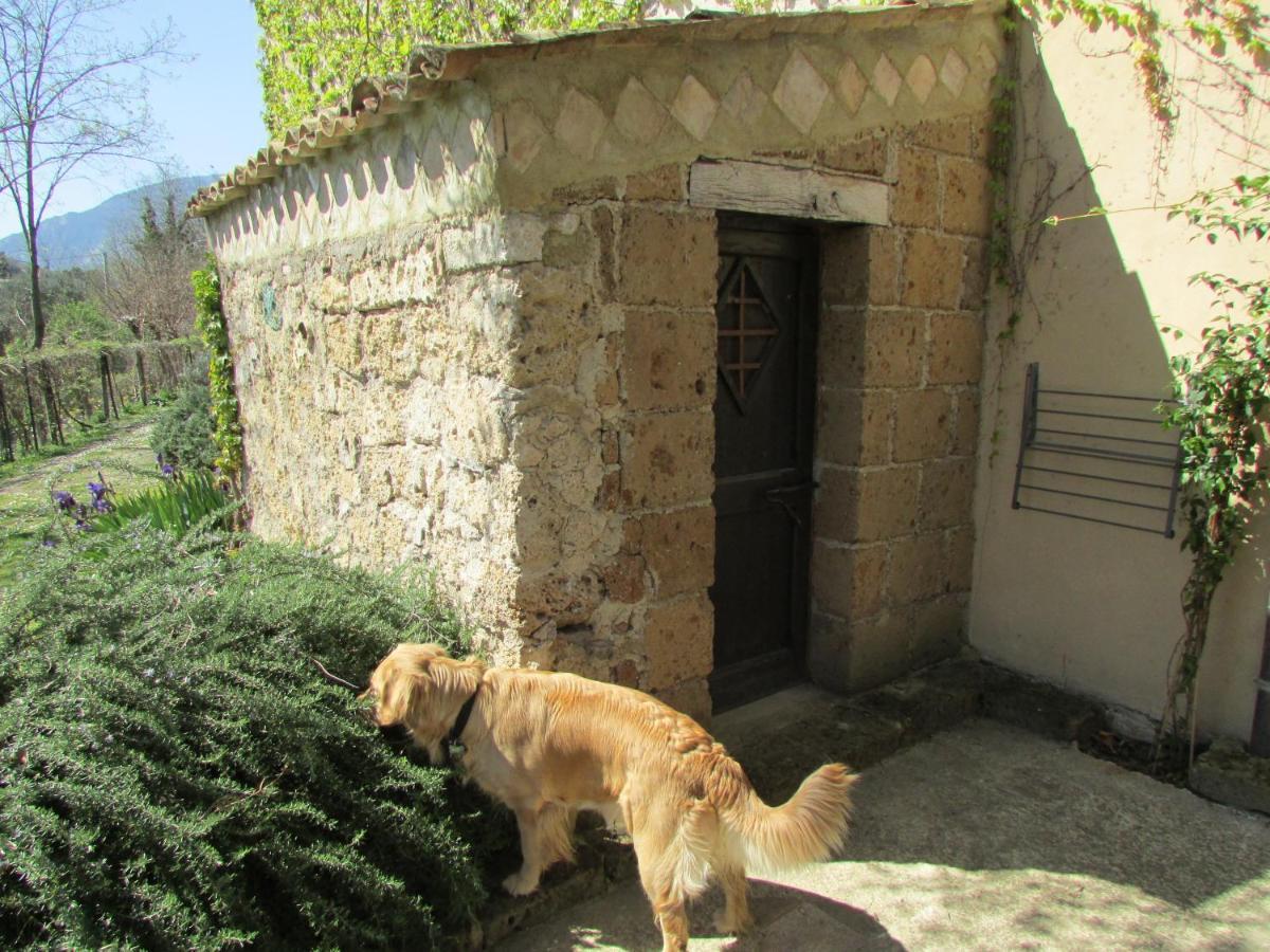 Agriturismo "Borgo Madonna Degli Angeli" - Charming Cottages In The Gardens ! Tocco da Casauria Exteriér fotografie