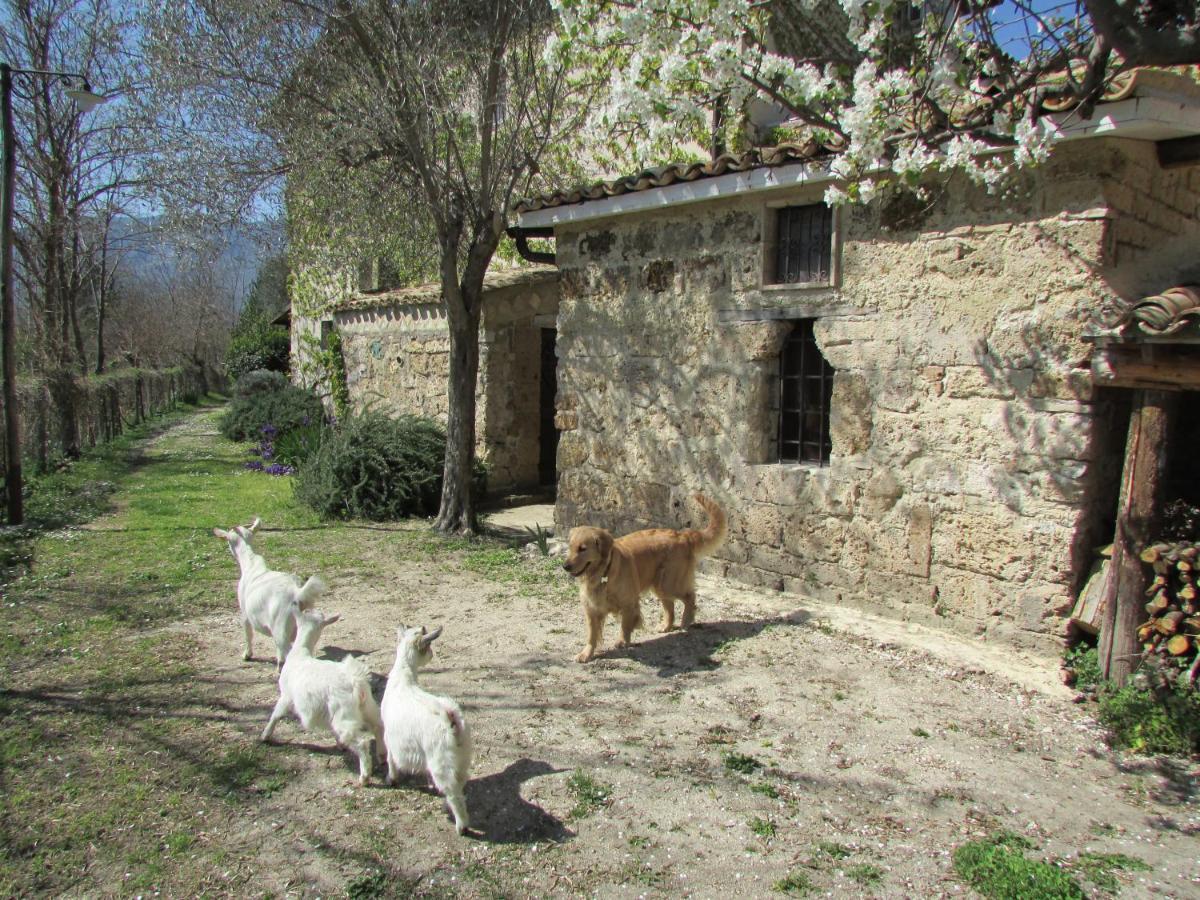 Agriturismo "Borgo Madonna Degli Angeli" - Charming Cottages In The Gardens ! Tocco da Casauria Exteriér fotografie