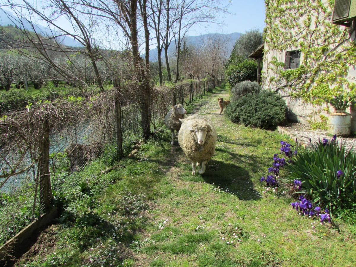 Agriturismo "Borgo Madonna Degli Angeli" - Charming Cottages In The Gardens ! Tocco da Casauria Exteriér fotografie