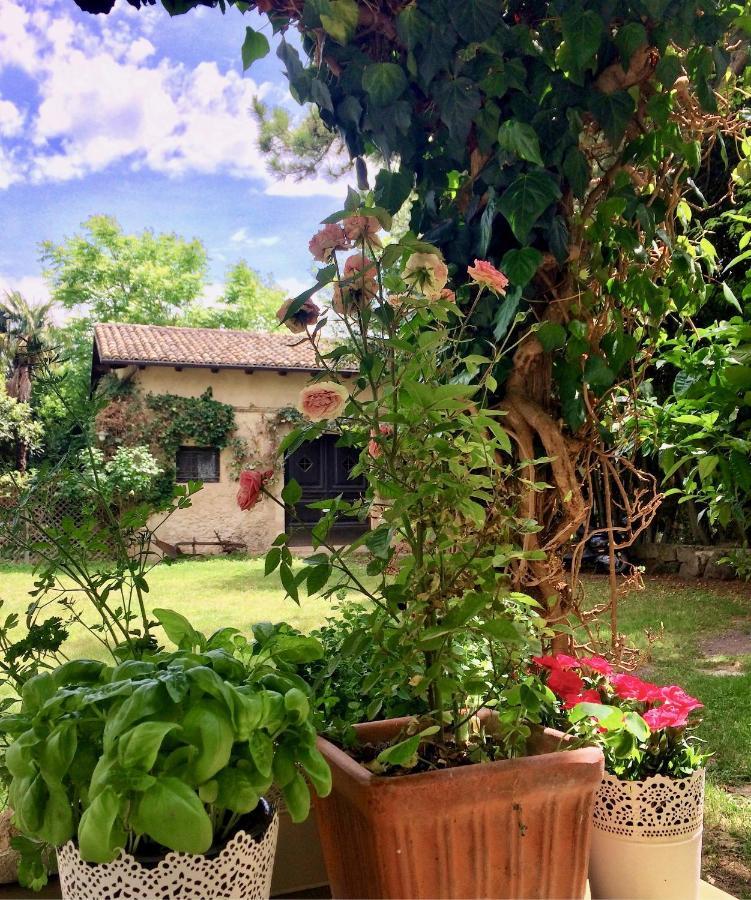 Agriturismo "Borgo Madonna Degli Angeli" - Charming Cottages In The Gardens ! Tocco da Casauria Exteriér fotografie