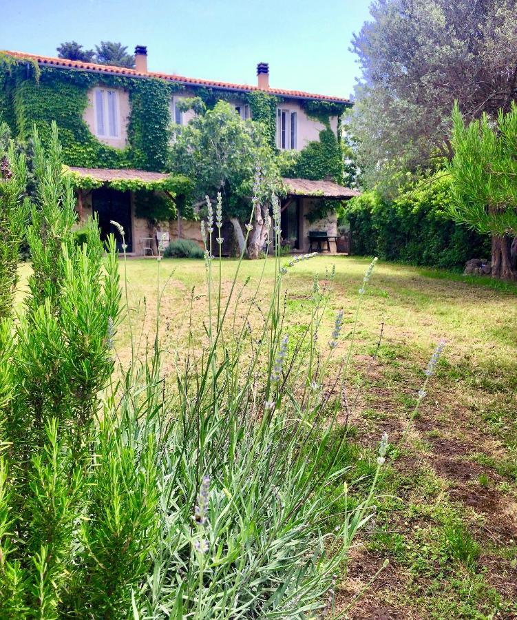 Agriturismo "Borgo Madonna Degli Angeli" - Charming Cottages In The Gardens ! Tocco da Casauria Exteriér fotografie