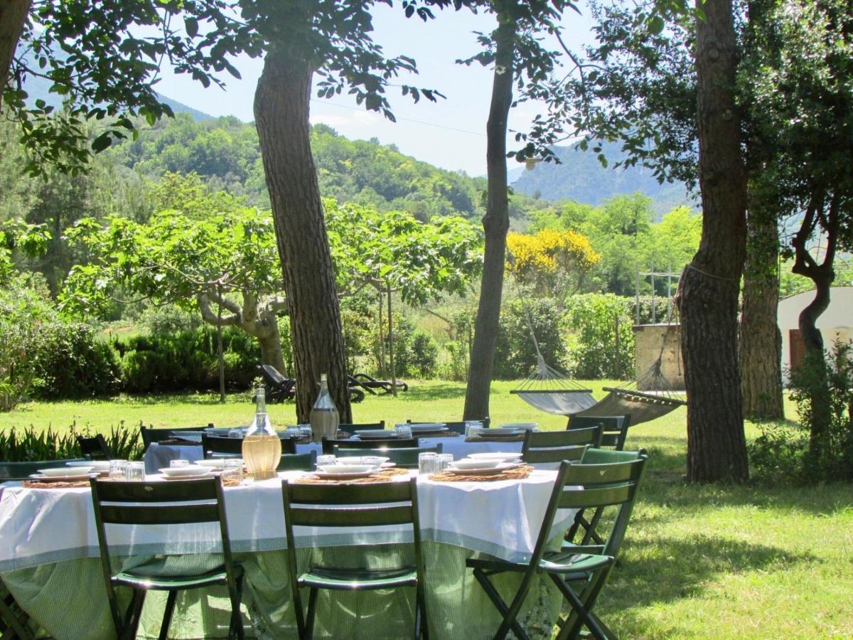 Agriturismo "Borgo Madonna Degli Angeli" - Charming Cottages In The Gardens ! Tocco da Casauria Exteriér fotografie