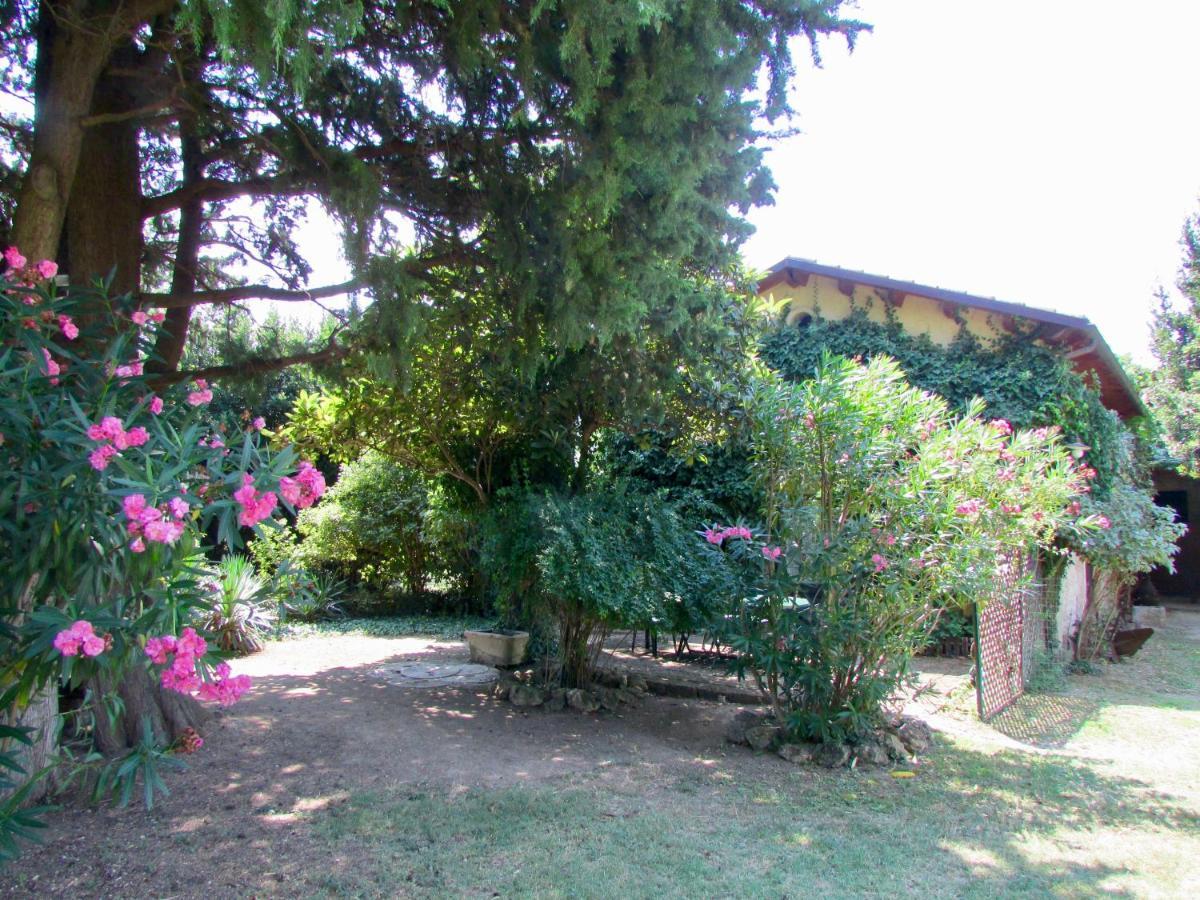 Agriturismo "Borgo Madonna Degli Angeli" - Charming Cottages In The Gardens ! Tocco da Casauria Exteriér fotografie