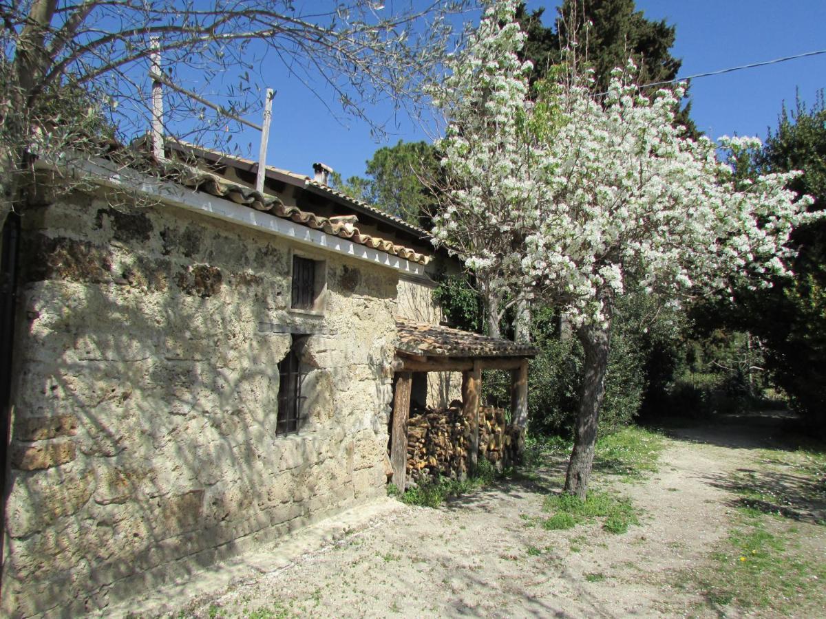 Agriturismo "Borgo Madonna Degli Angeli" - Charming Cottages In The Gardens ! Tocco da Casauria Exteriér fotografie