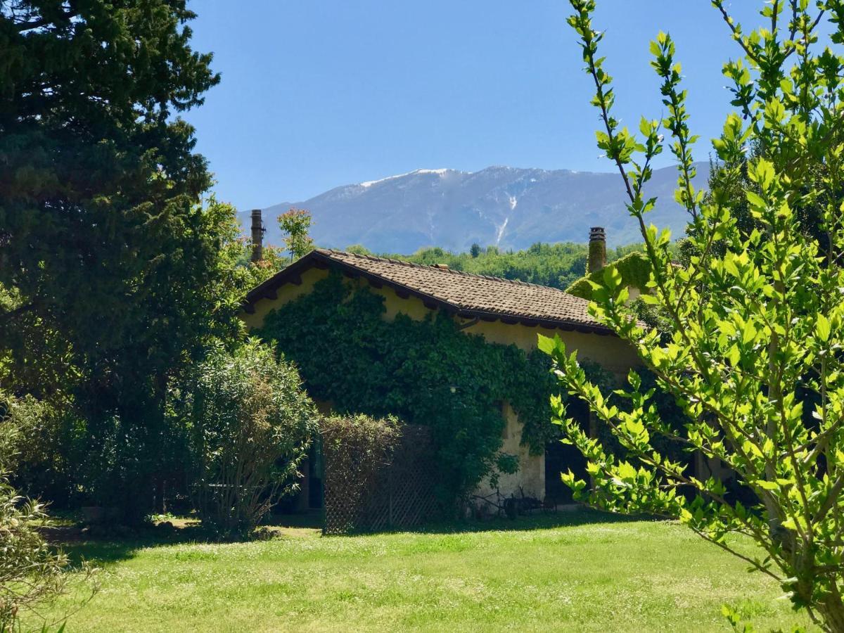 Agriturismo "Borgo Madonna Degli Angeli" - Charming Cottages In The Gardens ! Tocco da Casauria Exteriér fotografie