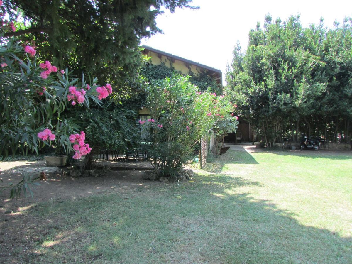 Agriturismo "Borgo Madonna Degli Angeli" - Charming Cottages In The Gardens ! Tocco da Casauria Exteriér fotografie