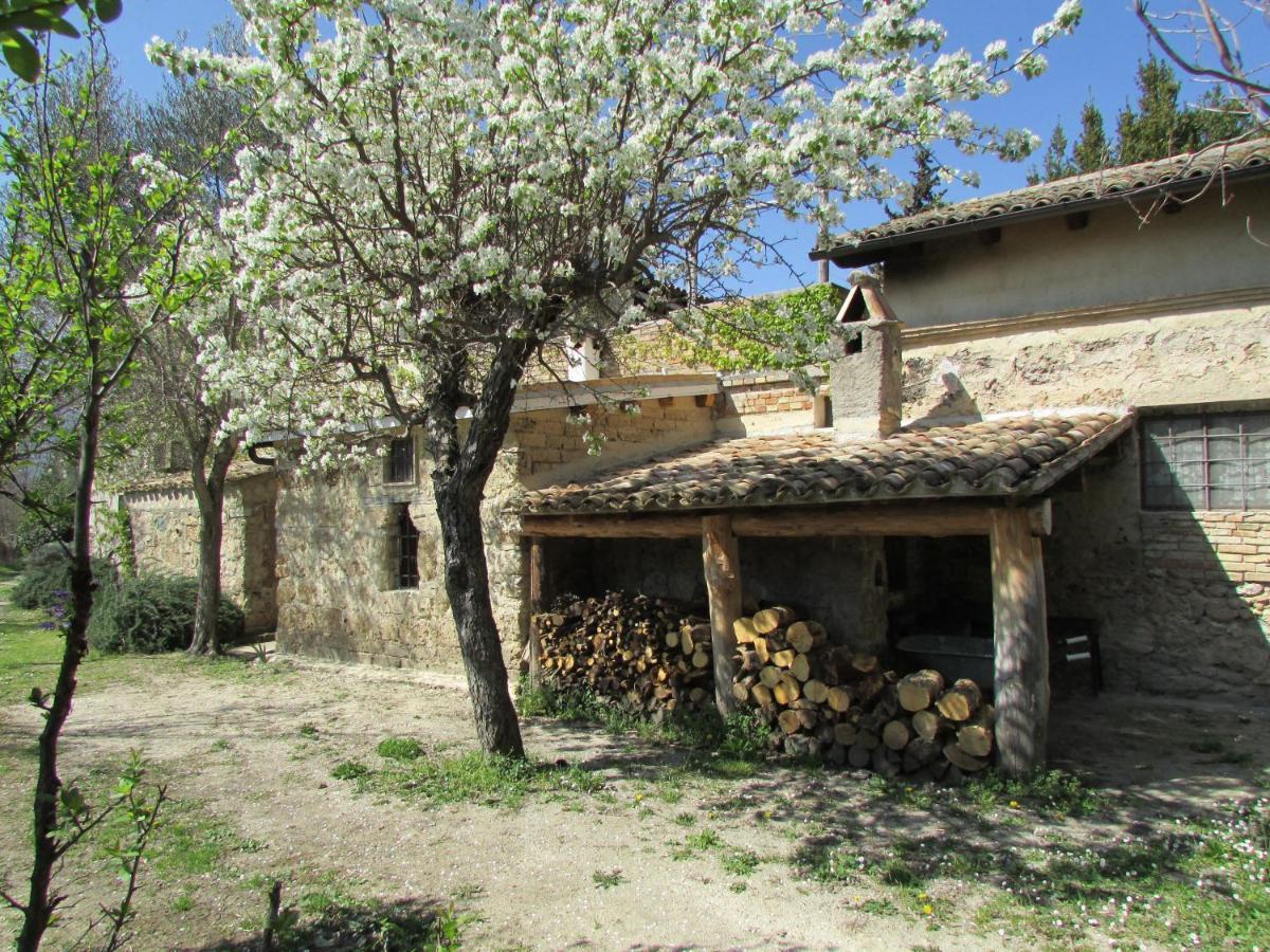 Agriturismo "Borgo Madonna Degli Angeli" - Charming Cottages In The Gardens ! Tocco da Casauria Exteriér fotografie