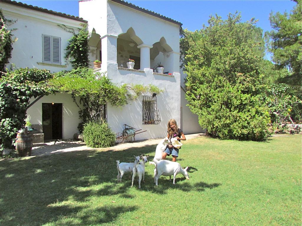 Agriturismo "Borgo Madonna Degli Angeli" - Charming Cottages In The Gardens ! Tocco da Casauria Exteriér fotografie