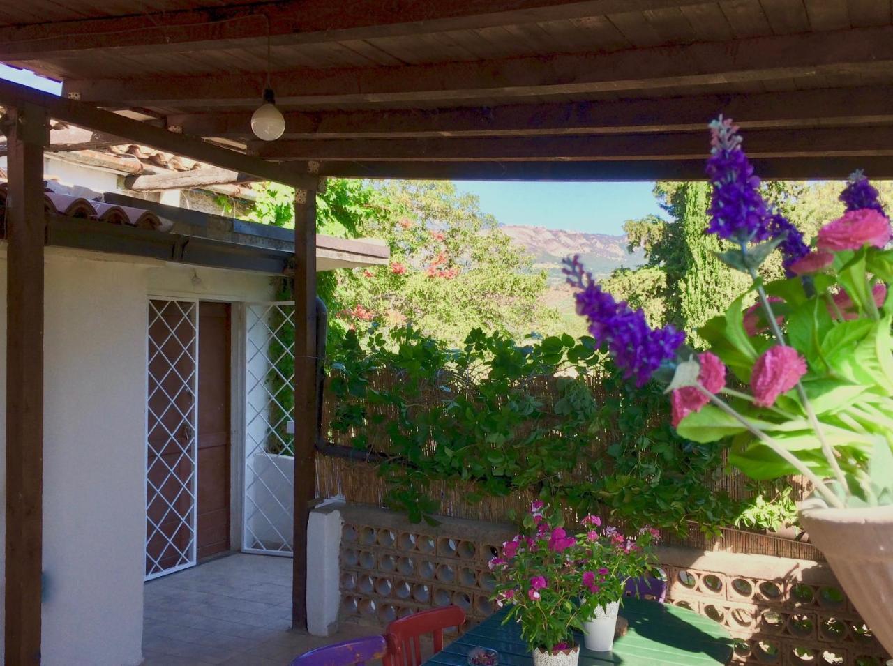 Agriturismo "Borgo Madonna Degli Angeli" - Charming Cottages In The Gardens ! Tocco da Casauria Exteriér fotografie