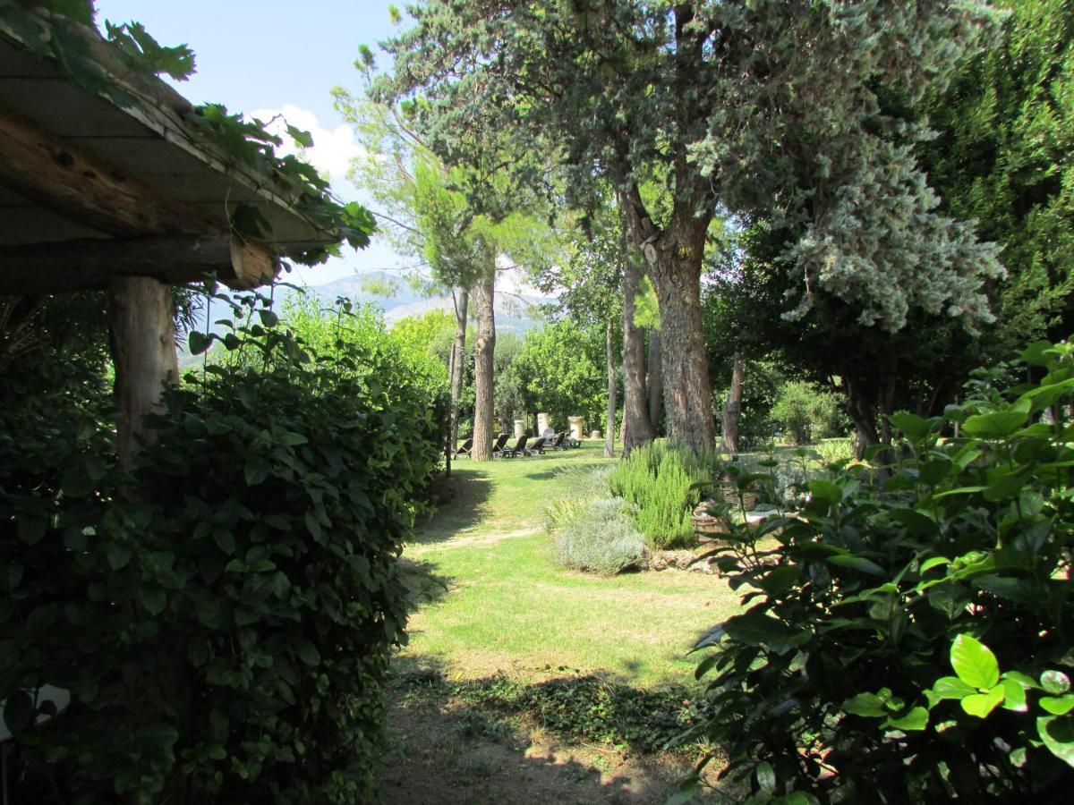 Agriturismo "Borgo Madonna Degli Angeli" - Charming Cottages In The Gardens ! Tocco da Casauria Exteriér fotografie